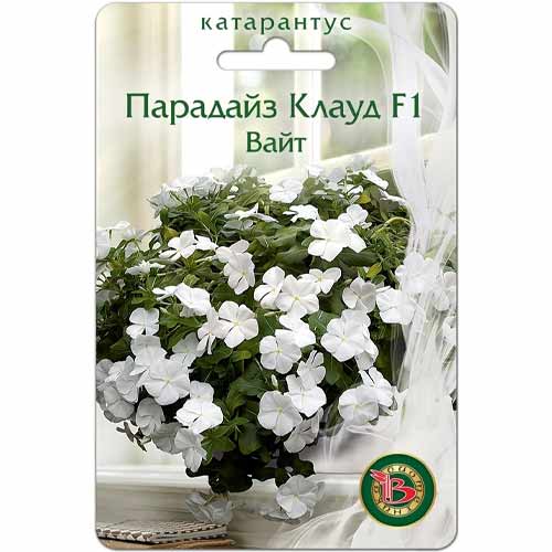 Катарантус (винка) Парадайз Клауд вайт F1 Биотехника изображение 1 артикул 40424