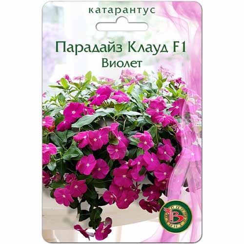 Катарантус (винка) Парадайз Клауд виолет F1 Биотехника изображение 1 артикул 40425