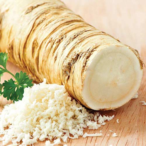 Катран Аккорд, семена изображение 1 артикул 65905