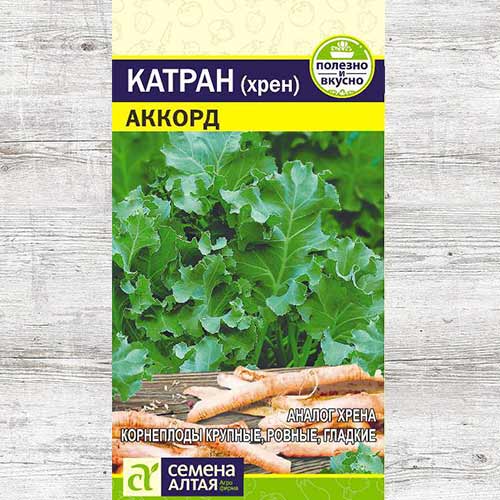 Катран (хрен) Аккорд изображение 1 артикул 81494