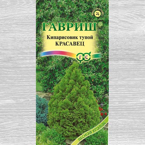 Кипарисовик Красавец артикул фото 1 Кипарисовик Красавец изображение 1 артикул 73717