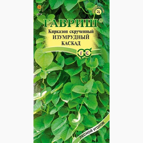 Кирказон скрученный Изумрудный каскад Гавриш изображение 1 артикул 97693