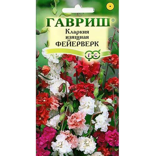Кларкия Фейерверк, смесь окрасок изображение 1 артикул 92082