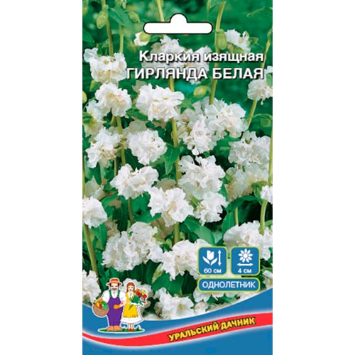 Кларкия Гирлянда белая, семена изображение 1 артикул 94804
