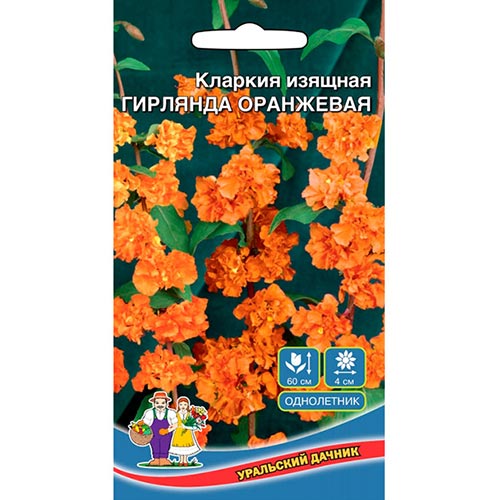 Кларкия Гирлянда оранжевая, семена изображение 1 артикул 94806