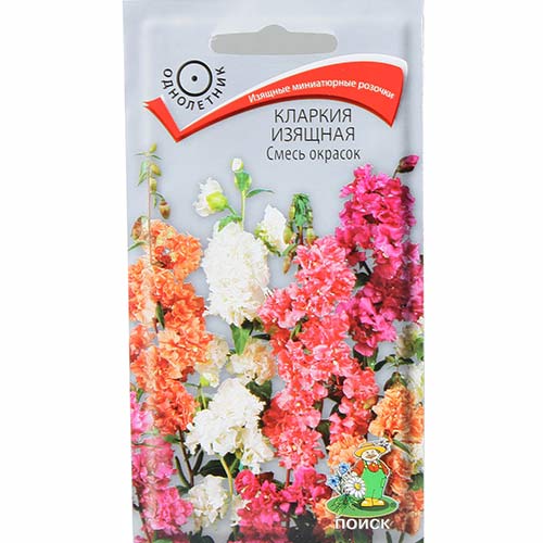 Кларкия Изящная, смесь окрасок Поиск артикул фото 1 Кларкия Изящная, смесь окрасок Поиск изображение 1 артикул 83204