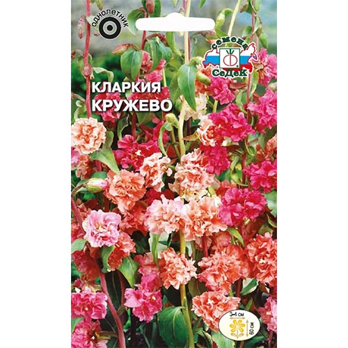 Кларкия Кружево, смесь окрасок изображение 1 артикул 93808