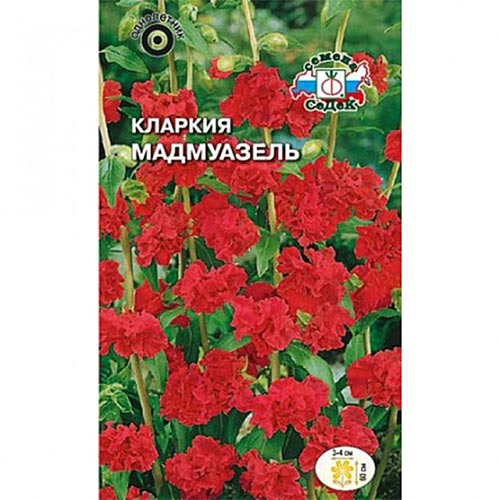 Кларкия Мадмуазель, семена изображение 1 артикул 93809