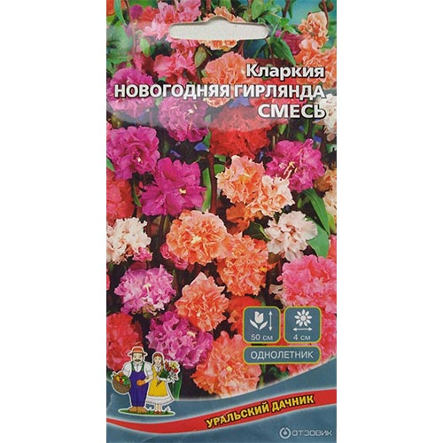 Кларкия Новогодняя гирлянда, смесь окрасок изображение 1 артикул 94807