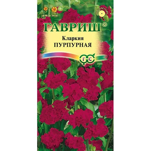 Кларкия Пурпурная, семена артикул фото 1 Кларкия Пурпурная, семена изображение 1 артикул 92080