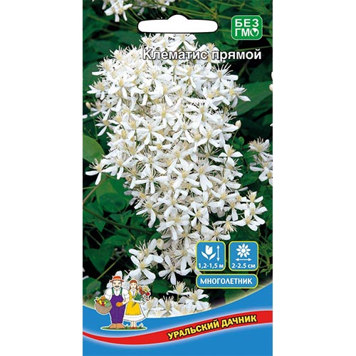 Клематис Прямой, семена изображение 1 артикул 94808
