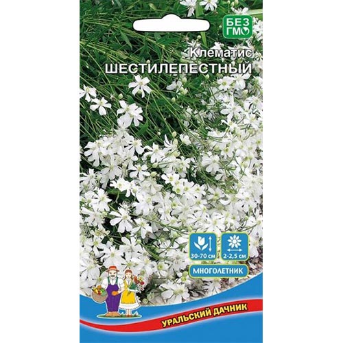 Клематис Шестилепеcтный, семена изображение 1 артикул 94810