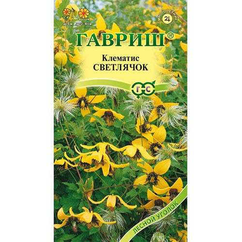 Клематис Светлячок, семена изображение 1 артикул 92086