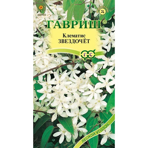 Клематис Звездочет, семена изображение 1 артикул 92085