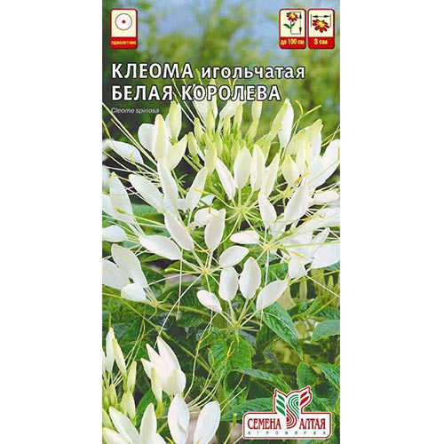 Клеома Белая Королева, семена изображение 1 артикул 94176