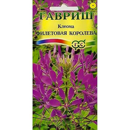 Клеома Фиолетовая Королева Гавриш изображение 1 артикул 92091
