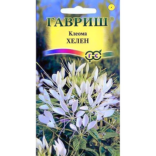 Клеома Хелен белая, семена изображение 1 артикул 92092