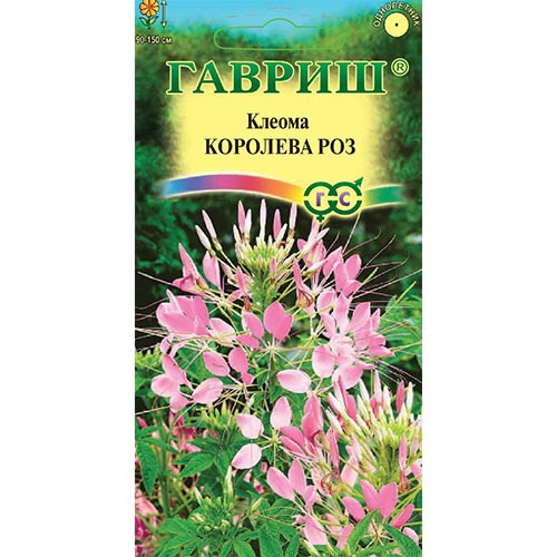 Клеома Королева роз, семена изображение 1 артикул 92089