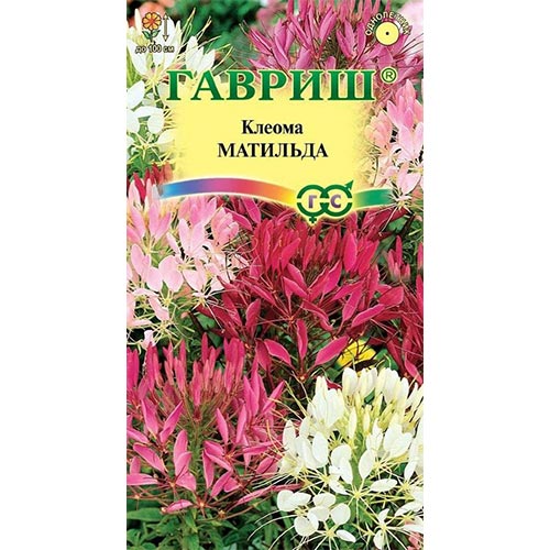 Клеома Матильда, смесь окрасок изображение 1 артикул 92090