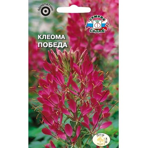 Клеома Победа, семена изображение 1 артикул 93814