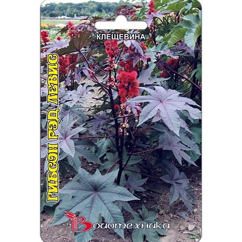 Клещевина Гибсон Рэд Левис Биотехника изображение 1 артикул 91587