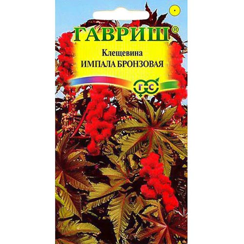 Клещевина Импала бронзовая, семена изображение 1 артикул 92094