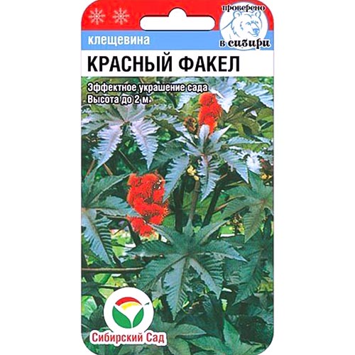 Клещевина Красный факел, семена изображение 1 артикул 94429
