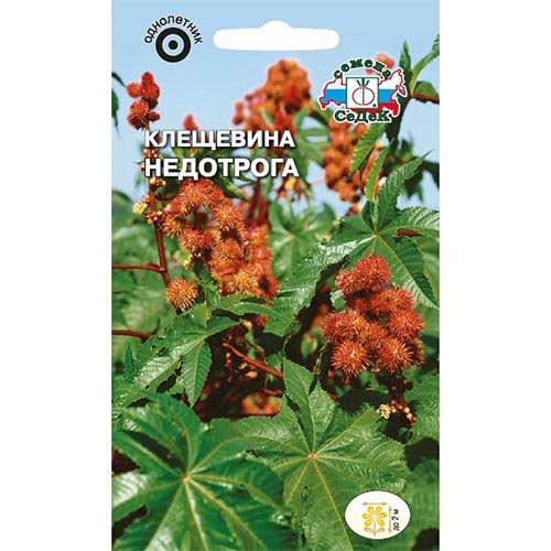 Клещевина Недотрога, семена изображение 1 артикул 93817