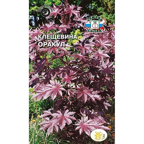 Клещевина Оракул, семена изображение 1 артикул 93818