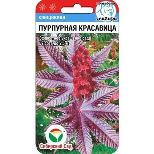 Клещевина Пурпурная красавица, семена изображение 1 артикул 94430