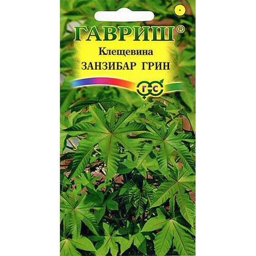 Клещевина Занзибар Грин, семена изображение 1 артикул 92093