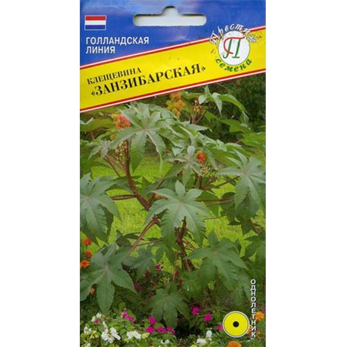 Клещевина Занзибарская Престиж изображение 1 артикул 84490