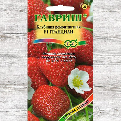 Клубника ампельная ремонтантная Грандиан F1 Гавриш изображение 1 артикул 71356