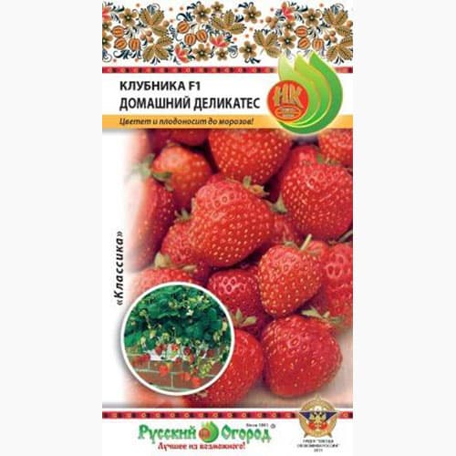 Клубника Домашний Деликатес F1 Русский огород НК изображение 1 артикул 97361
