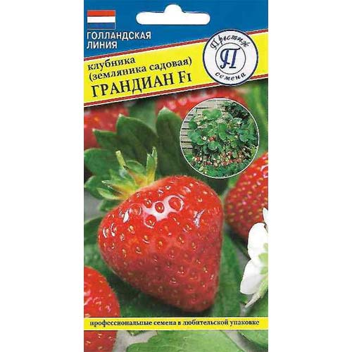 Земляника крупноплодная ремонтантная Грандиан F1 Престиж изображение 1 артикул 81109
