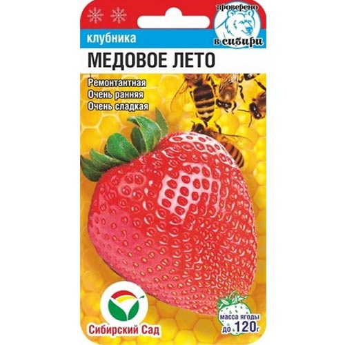 Земляника ремонтантная крупноплодная Медовое лето Сибирский Сад изображение 1 артикул 66623