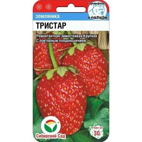 Земляника ремонтантная крупноплодная Тристар Сибирский Сад изображение 1 артикул 65247