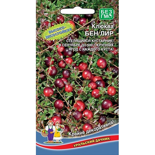 Клюква садовая Бен лир, семена изображение 1 артикул 94542