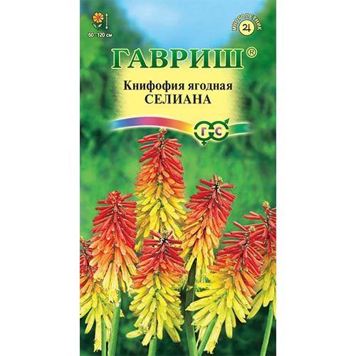 Книфофия Селиана, семена изображение 1 артикул 92095