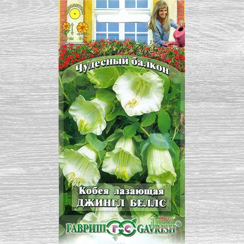 Кобея Лазающая Джингл беллс изображение 1 артикул 73858