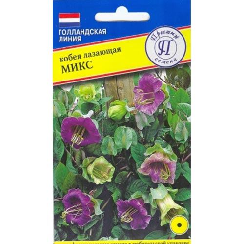 Кобея лазающая, смесь окрасок Престиж изображение 1 артикул 84492