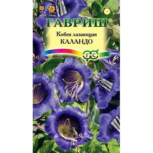 Кобея лазящая Каландо, семена изображение 1 артикул 92097