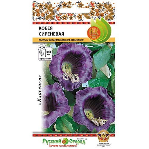 Кобея лазящая Сиреневая семена изображение 1 артикул 92531