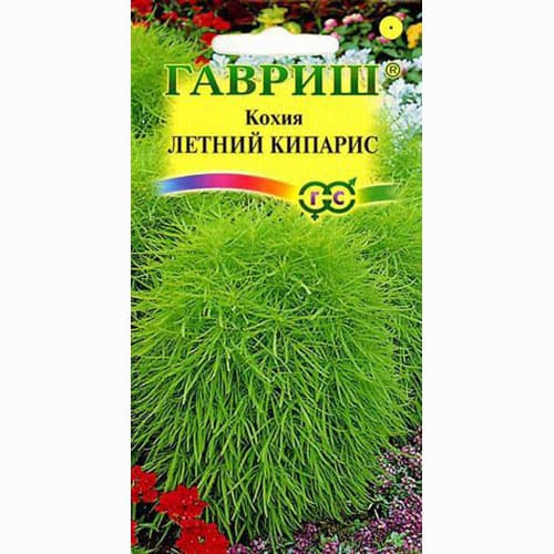 Кохия веничная Летний кипарис Гавриш изображение 1 артикул 66082