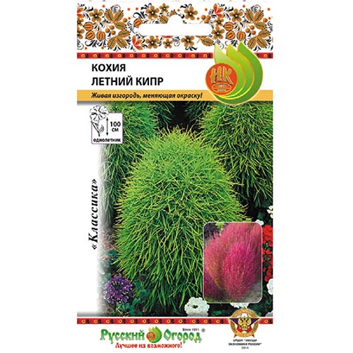 Кохия Летний Кипр, семена изображение 1 артикул 92544