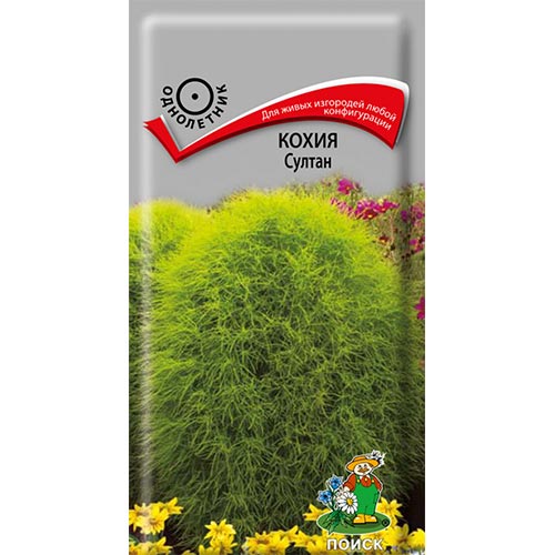 Кохия Султан, семена изображение 1 артикул 93022