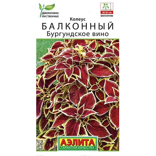 Колеус балконный Бургундское вино Аэлита артикул фото 1 Колеус балконный Бургундское вино Аэлита изображение 1 артикул 40347