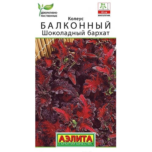 Колеус балконный Шоколадный бархат Аэлита артикул фото 1 Колеус балконный Шоколадный бархат Аэлита изображение 1 артикул 40348