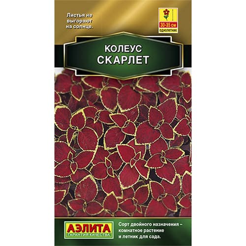 Колеус блюме Скарлет Аэлита изображение 1 артикул 98970