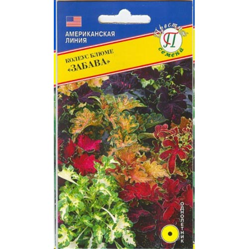 Колеус Блюме Забава, смесь окрасок Престиж изображение 1 артикул 84493